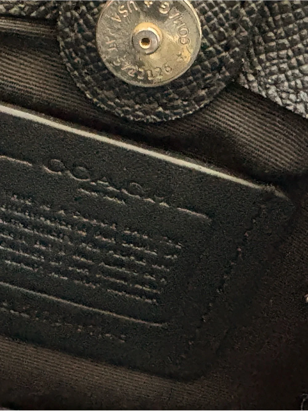 Coach mini Lillie carryall